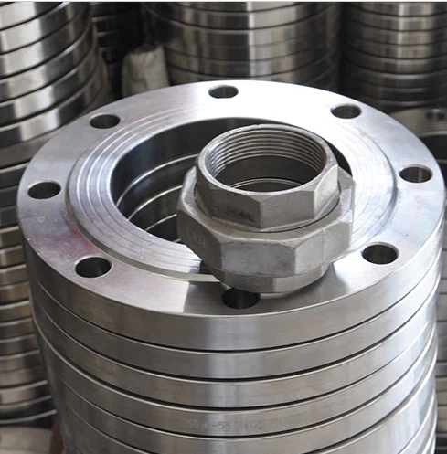 Hastelloy C-22 Flange